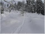 Tržič - Planina Zgornja Konjščica